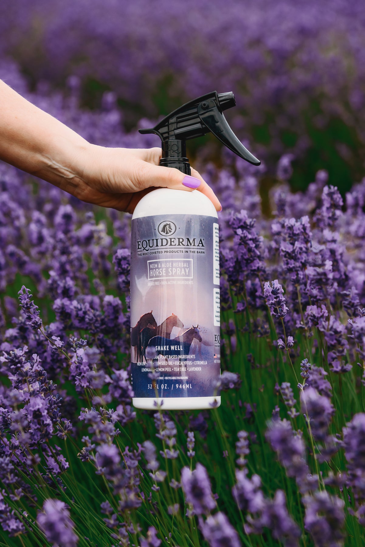 Horse Spray Quart
