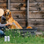 Barn Dog Conditioner