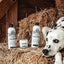 Barn Dog Paw Balm
