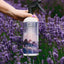 Horse Spray Quart